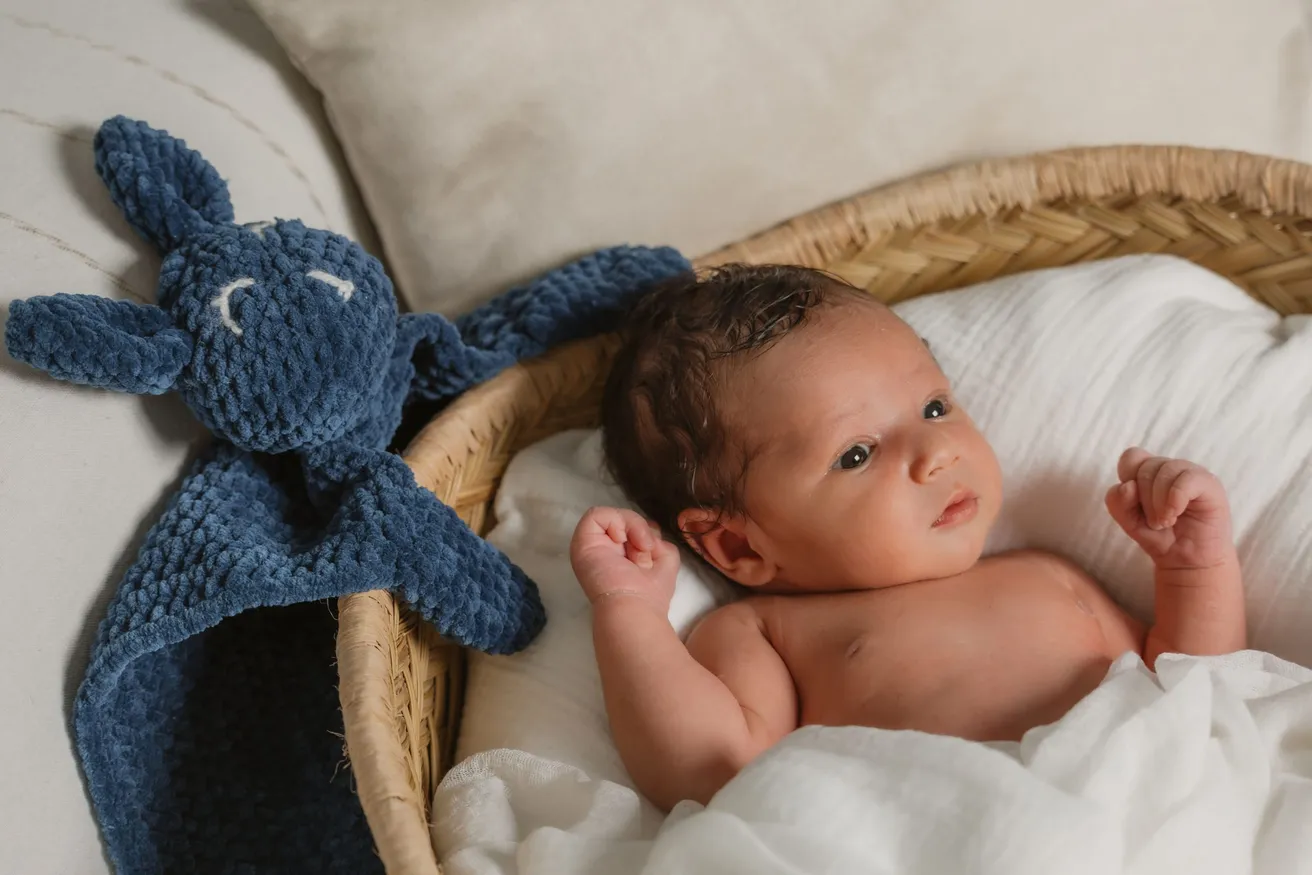 Nouveau-né éveillé dans un couffin, un doudou lapin bleu posé à côté